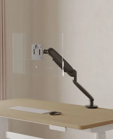 Single and dual VESA monitor arm — XPICK, view 2