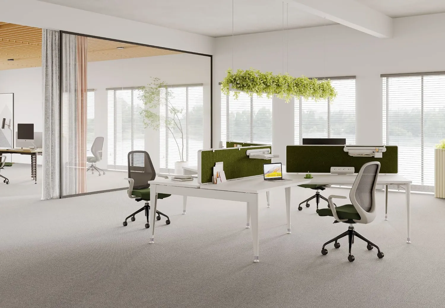 White three-way benching desk with olive felt screens, green-seat mesh chairs and hanging plants in a bright office
