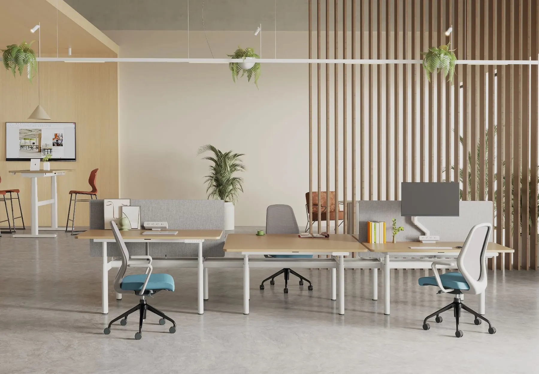 White sit-stand benching desks with grey fabric screens and blue-seat chairs beside a wood slat divider